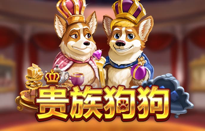 bc体育综合平台截图4